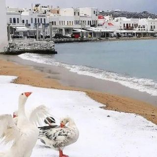 FOTO. Che beffa: neve a Mykonos e da noi ancora nulla dall'8 dicembre...