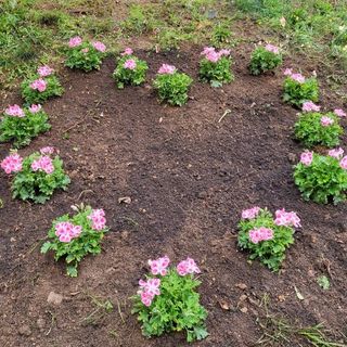 LA STORIA. Nonna Maria non c'è più, ma il suo ricordo vive nei fiori e nel cuore dei suoi famigliari