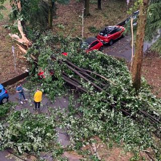 La triste &quot;conta&quot; del maltempo di Coldiretti: in Lombardia 27 nubifragi in un giorno