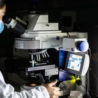Fondazione Mondino cerca volontari per lo studio su “Parkinson e Microbioma”