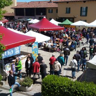 Sapori genuini in scena: domenica 14 Maggio MEC sulla Strada delle Abbazie a Morimondo