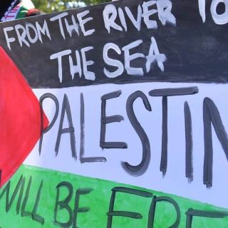 Insegnante indossa in aula una maglietta pro-Palestina, scoppia il caso a Pavia