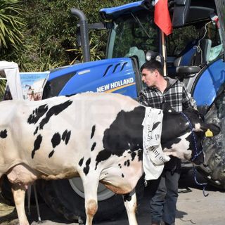 Sanremo: i trattori arriveranno venerdì e resteranno anche sabato, tra Valle Armea e il centro