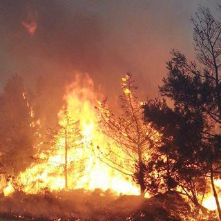 Incendi, l’allarme della Coldiretti, +153% in Italia