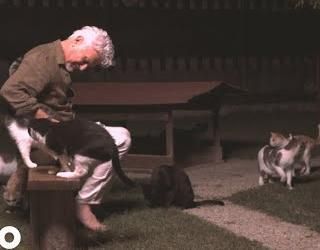 Ron celebra l'uscita dell'album &quot;Sono un figlio&quot; con il singolo &quot;I gatti&quot;. Il videoclip girato a &quot;Miciopolis&quot;