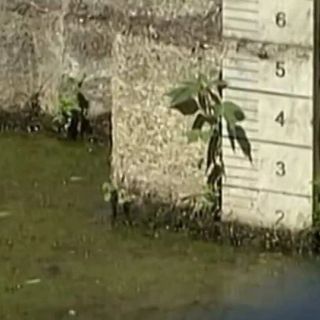 Mondo agricolo a confronto nel Basso Pavese ma la stavolta la siccità non è un problema…