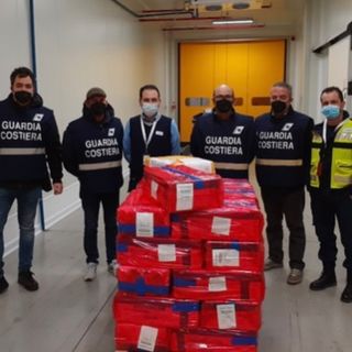 Quasi 400 chili di pesce proveniente dall'Africa, a Malpensa scattano i controlli