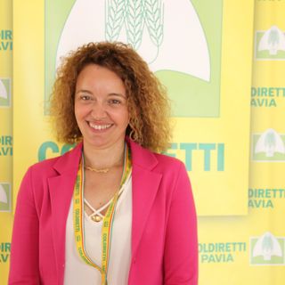 Coldiretti: novità PAC, autorizzate le cover crops. In provincia di Pavia interessati oltre 25 mila ettari