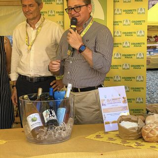 Clima, scatta in ritardo la raccolta del riso: -10% produzione anche in provincia di Pavia
