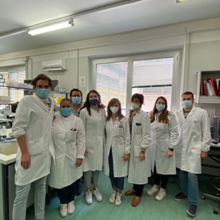 Sequenziamento genoma completo virus del vaiolo delle scimmie al San Matteo di Pavia
