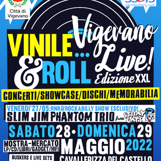 Vigevano Vinile...&amp; Roll 2022 Live
