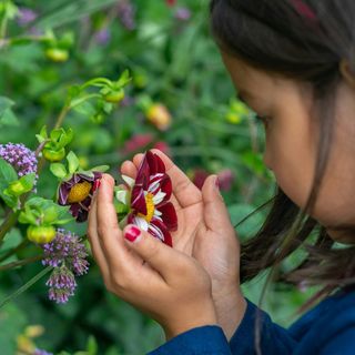 Da Viridea tornano i laboratori di natura per bambini
