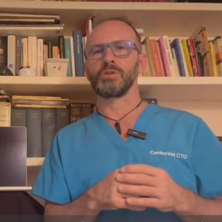 Il dottor Paolo Morabito medico veterinario direttore sanitario del CTO centro veterinario di Vigevano e creatore di Petdicted