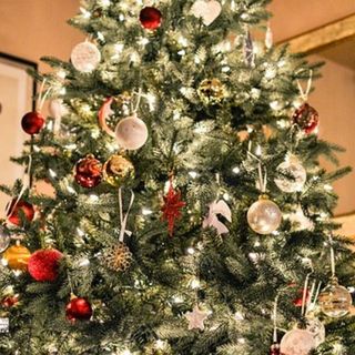 Luminarie, che magia. Ma con attenzione. Ecco le dieci regole per proteggere la casa a Natale