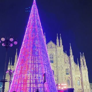 Milano, da ieri sera l’albero in Duomo: fatto con 80mila luci a Led