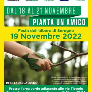 Giornata Nazionale degli Alberi: torna in Lombardia nel fine settimana coinvolta anche Mede