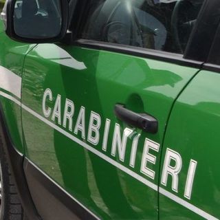 Inquinamento ambientale in Lomellina: concluse le indagini dei Carabinieri Forestali
