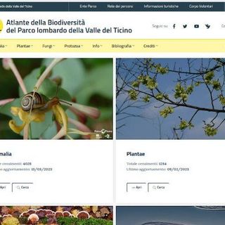 Parco del Ticino, ecco il primo portale (italiano) sulla biodiversità