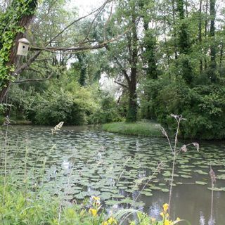Fondazione comunità novarese contribuisce alla creazione di nuova area naturale a Borgolavezzaro