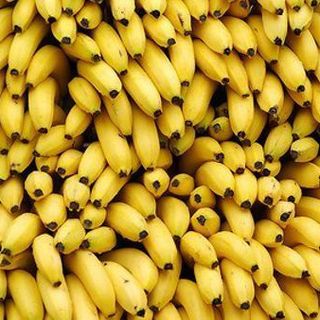 Livorno, maxi sequestro: 208 chili di coca in container.. di banane