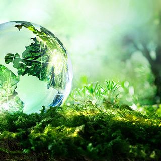 Racconti di biodiversità: il 4 ottobre a Pavia la giornata-evento