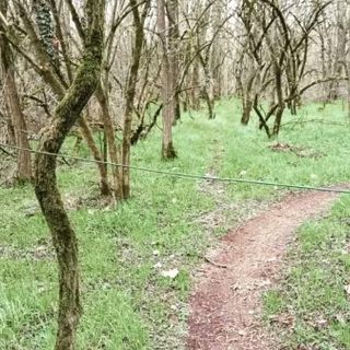 Il cavo apparso ad altezza gola nel Bosco del Vignolo (foto tratta da Facebook)