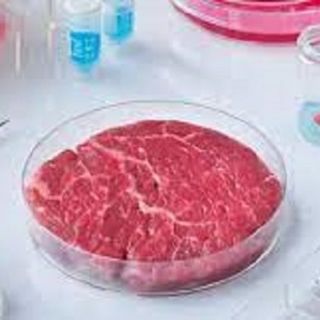 Fao: Coldiretti, da allergie a cancro i rischi del “cibo sintetico”