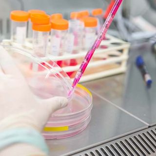 Covid-19, in Italia oggi 15.774 contagi e 507 vittime. La Lombardia con 2.245 casi la regione più colpita