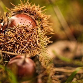 Autunno? No, fine settembre come un'eterna estate: sole e massime a 25 gradi per una settimana