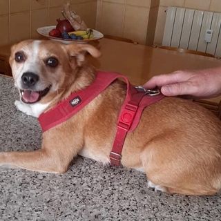 Miky cerca una famiglia che lo possa accogliere dopo tante sofferenze