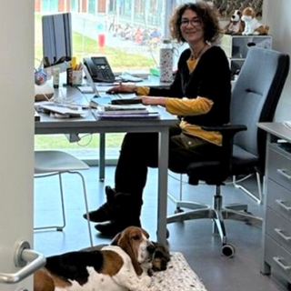 Col cane in ufficio: succede all’Università Statale di Lodi