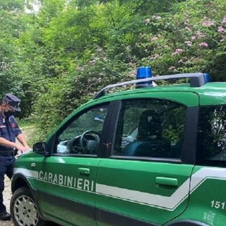 Novarese, Carabinieri forestali sequestrano stabilimento di metalli