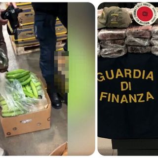 5 milioni di cocaina tra le banane a Vado Ligure. In manette 37enne albanese residente a Milano