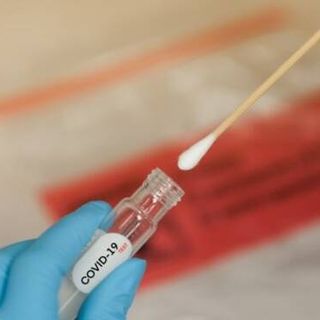 Coronavirus, dati &quot;pasquali&quot; in provincia di Pavia: solo 48 contagi. In Lombardia 1.358 casi e 81 vittime