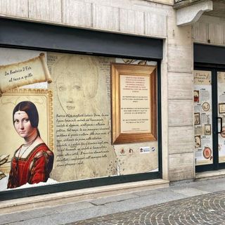 Vigevano, al via il progetto "Adotta una vetrina". Ecco tutti i dettagli dell'iniziativa