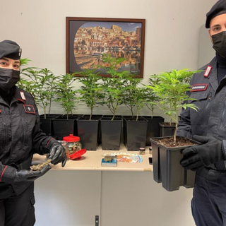 Traffico internazionale di droga: in arresto un 30enne vercellese