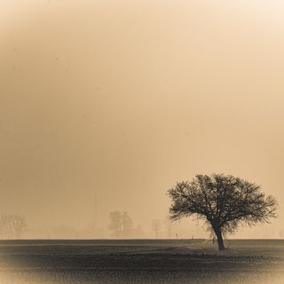 Foto: Maurizio Denti Pompiani