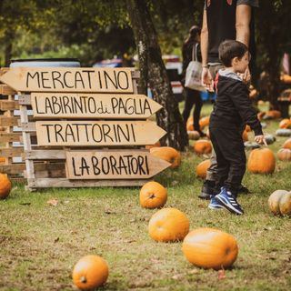 Al via la terza edizione del Villaggio delle Zucche PuraVida Farm di San Martino Siccomario