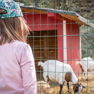 San Martino Siccomario: al Pura Vida 2 giorni da vivere con la famiglia immersi nella natura