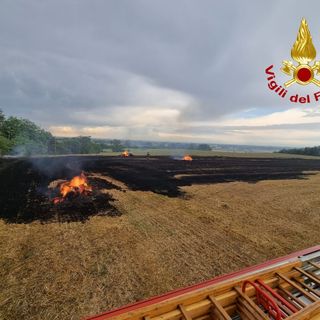 Broni: incendio di sterpaglie in un campo di frumento, intervengono i Vigili del fuoco