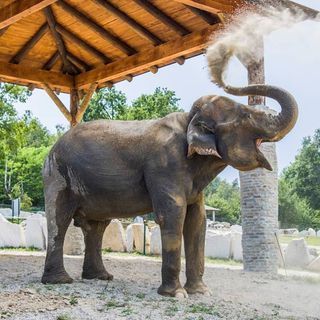 Grandi appuntamenti, iniziative e novità: il programma autunnale del Safari Park Lago Maggiore