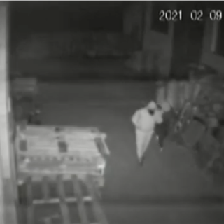 Così la banda assaltava i magazzini di alcolici e prodotti ittici: 100mila euro il bottino