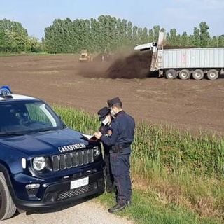 Carabinieri Forestali: l’attività svolta in Lombardia nel 2021