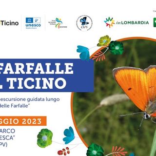 Domenica 14 le farfalle del Ticino...alla Sforzesca di Vigevano