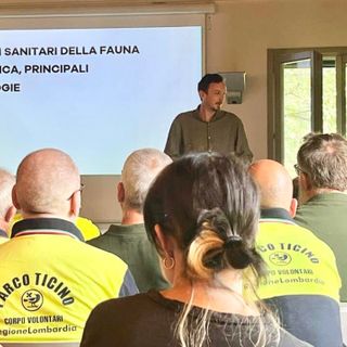 “SOS Fauna Selvatica”: al Parco del Ticino formazione e sinergia per la tutela degli animali in difficoltà