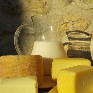 AAA, il Parco Ticino cerca caseifici per la produzione di &quot;formaggio giallo&quot;