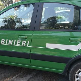 Furti e ricettazione nei centri rifiuti: undici indagati nel novarese