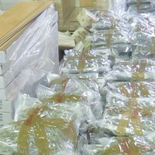 Spaccio internazionale, maxi operazione della Guardia di Finanza: sei tonnellate di droga destinate alla Lombardia