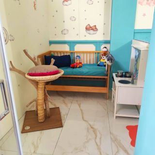 Vigevano, apre l'hotel per gatti &quot;Casale Dolce Così 2.0&quot;. Sarà gratuito per gli amici a quattro zampe di persone ricoverate in ospedale