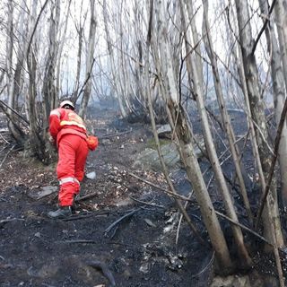 La protezione civile lombarda: «Allerta arancione per rischio incendi nei boschi»